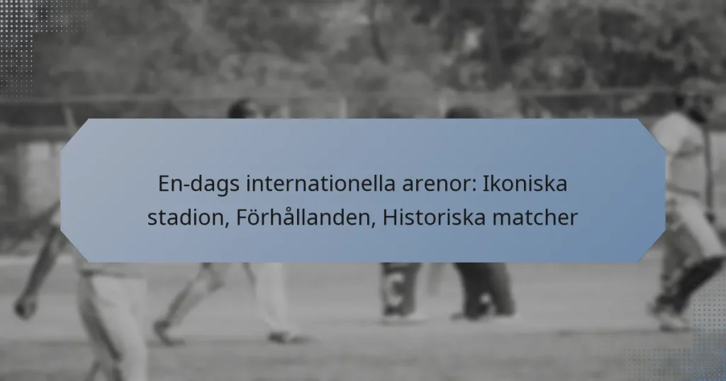 En-dags internationella arenor: Ikoniska stadion, Förhållanden, Historiska matcher