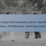En-dags internationella arenor: Ikoniska stadion, Förhållanden, Historiska matcher