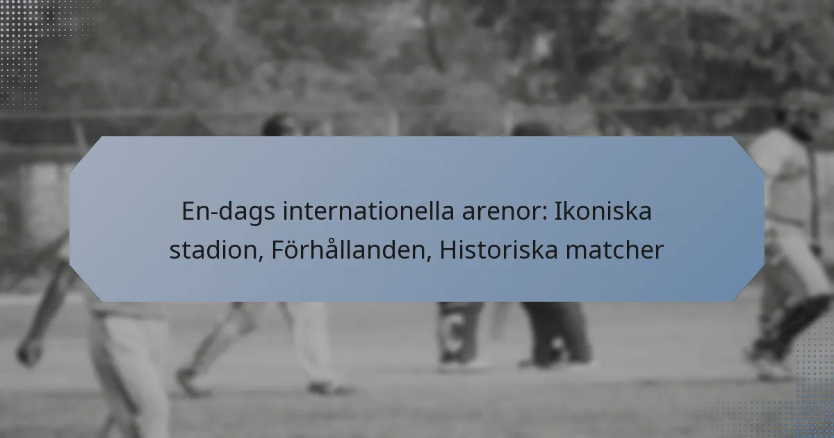 En-dags internationella arenor: Ikoniska stadion, Förhållanden, Historiska matcher