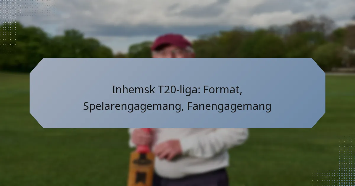 Inhemsk T20-liga: Format, Spelarengagemang, Fanengagemang