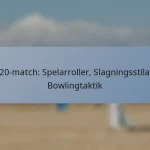 T20-match: Spelarroller, Slagningsstilar, Bowlingtaktik