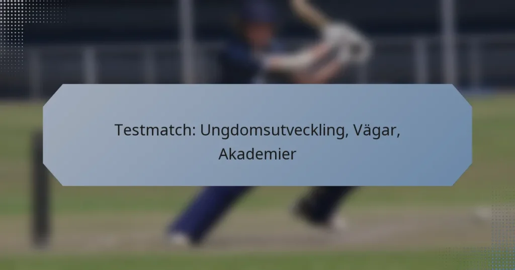 Testmatch: Ungdomsutveckling, Vägar, Akademier