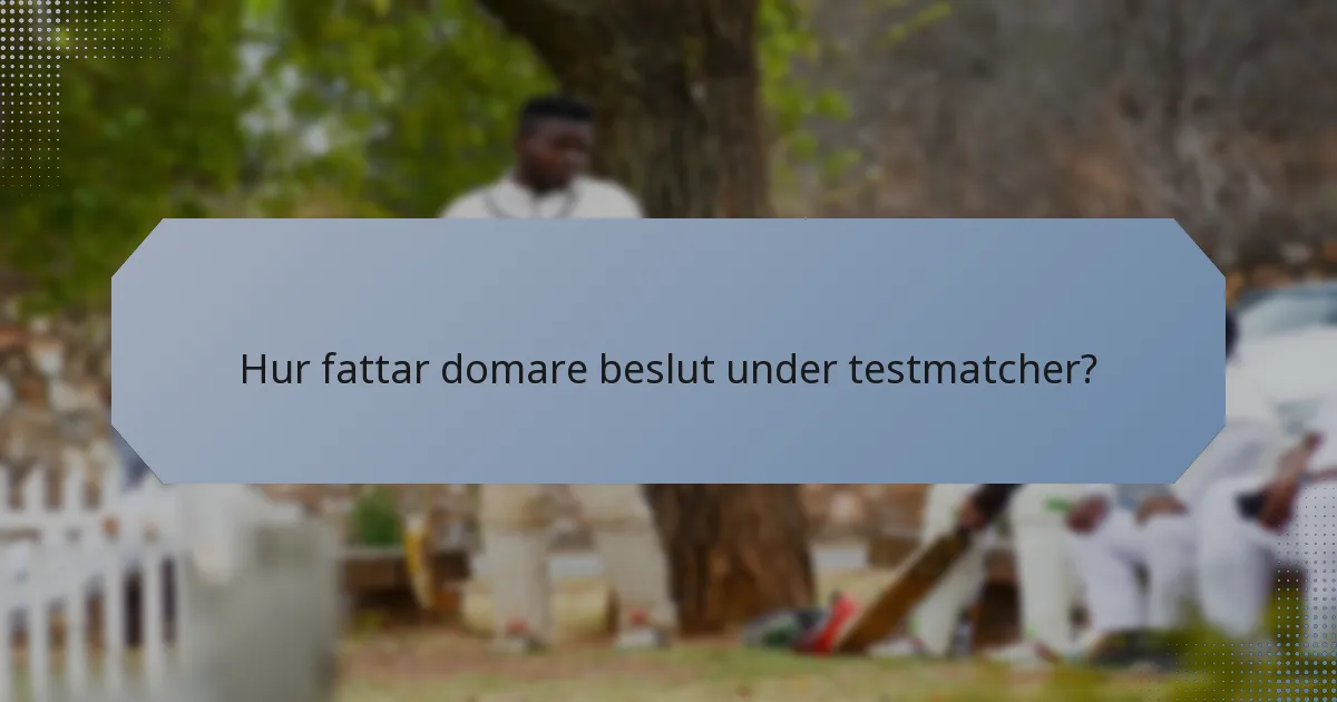 Hur fattar domare beslut under testmatcher?