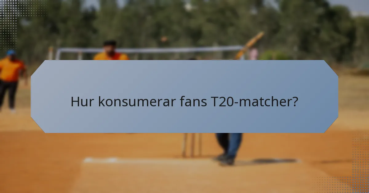Hur konsumerar fans T20-matcher?