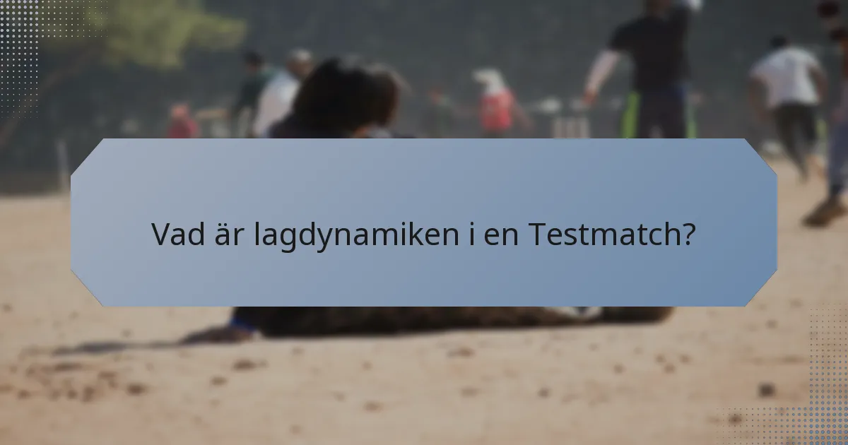 Vad är lagdynamiken i en Testmatch?