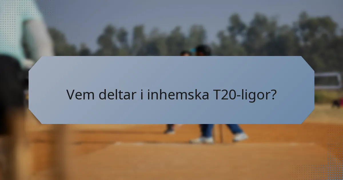 Vem deltar i inhemska T20-ligor?