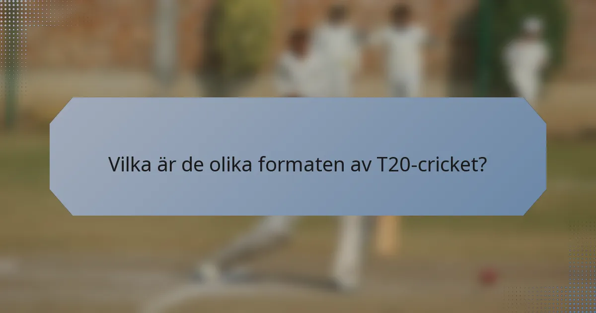 Vilka är de olika formaten av T20-cricket?