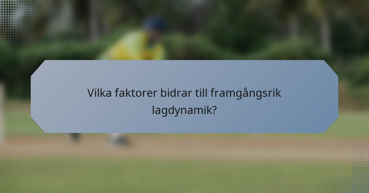 Vilka faktorer bidrar till framgångsrik lagdynamik?