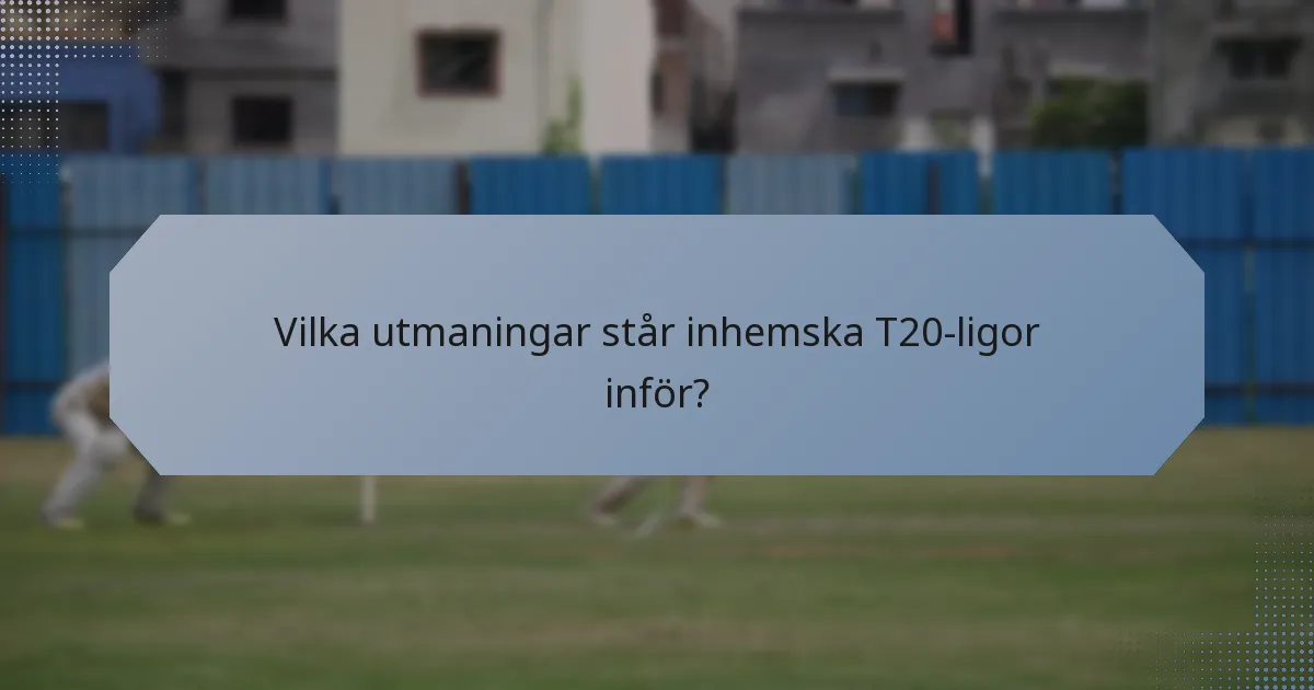 Vilka utmaningar står inhemska T20-ligor inför?