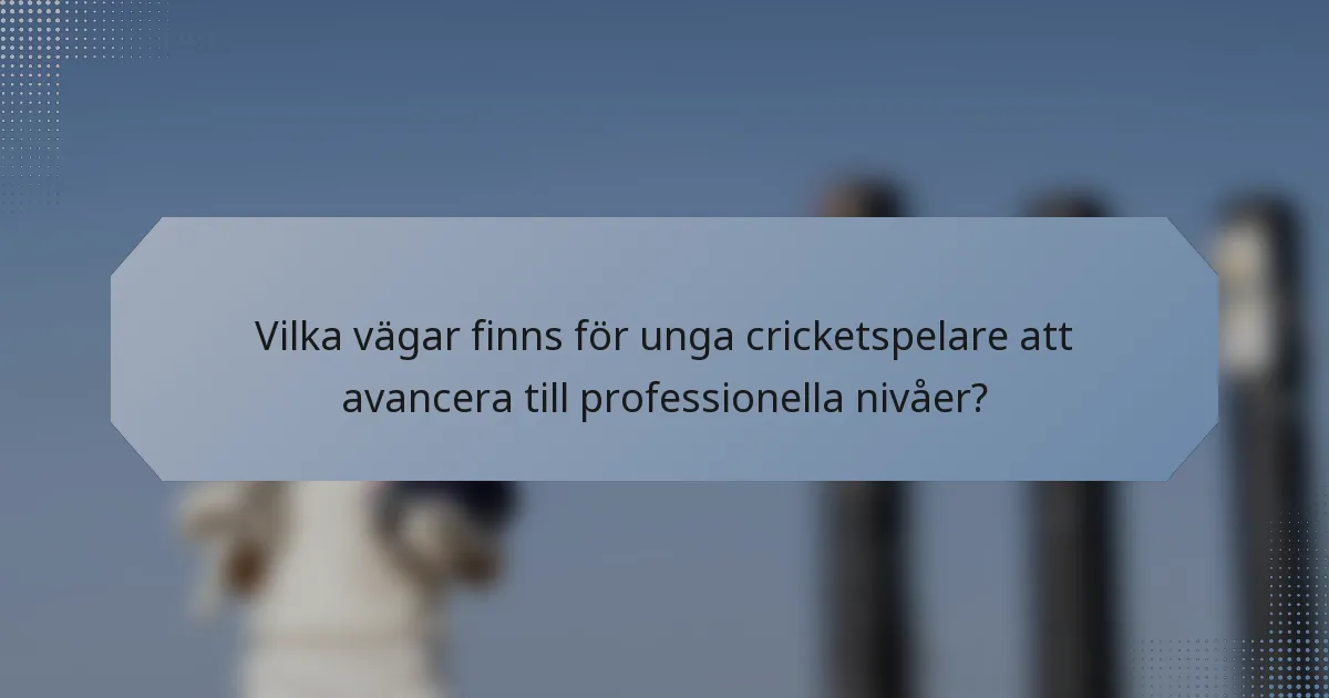 Vilka vägar finns för unga cricketspelare att avancera till professionella nivåer?